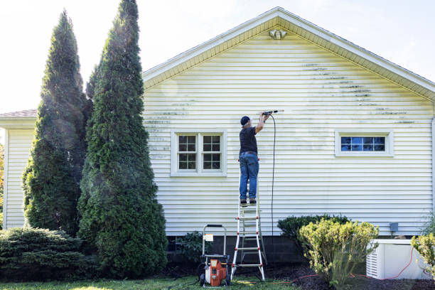 Best Local Pressure Washing Services  in South Coventry, CT